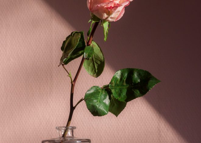 Come scegliere il regalo perfetto per lei in base alla sua personalità