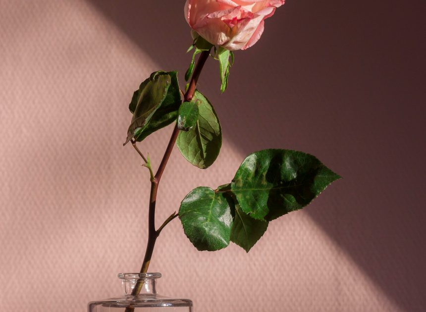 Come scegliere il regalo perfetto per lei in base alla sua personalità