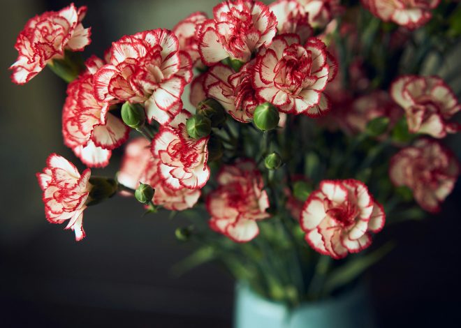 I fiori perfetti da regalare alla Festa della Mamma