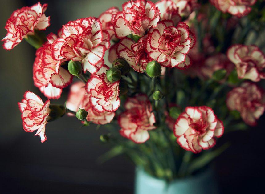 I fiori perfetti da regalare alla Festa della Mamma