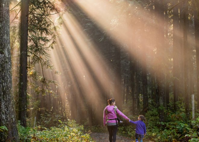 Frasi e aforismi più belli per la Festa della Mamma