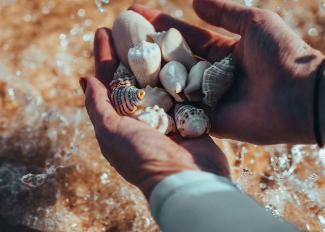 Cosa mettere nella borsa del mare: la checklist definitiva per le tue vacanze