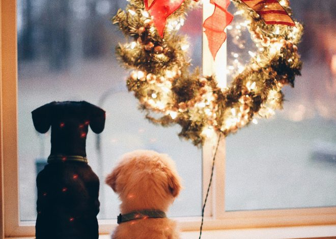 Natale in estate: come prepararsi alle feste sotto l’ombrellone