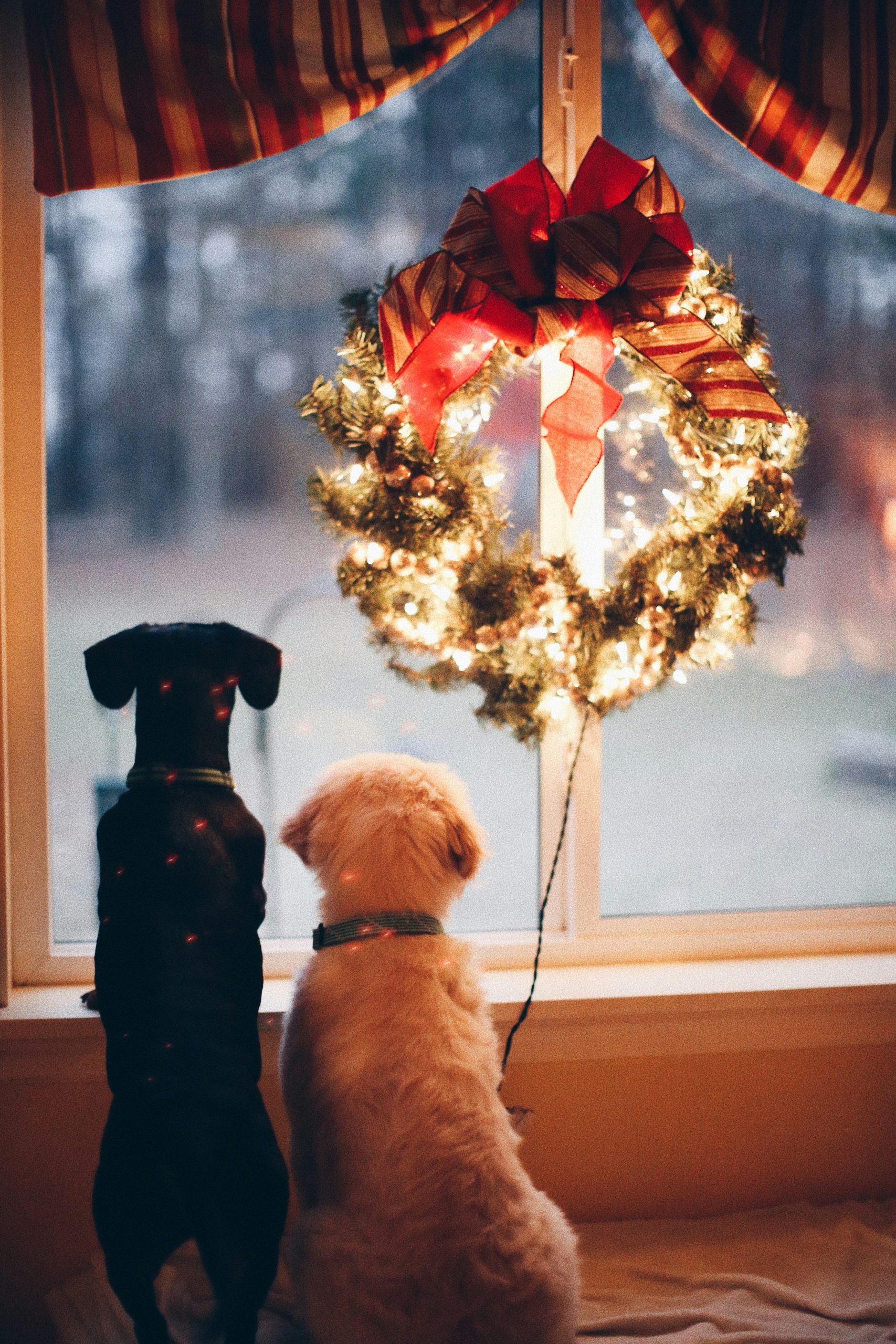 Natale in estate: come prepararsi alle feste sotto l’ombrellone