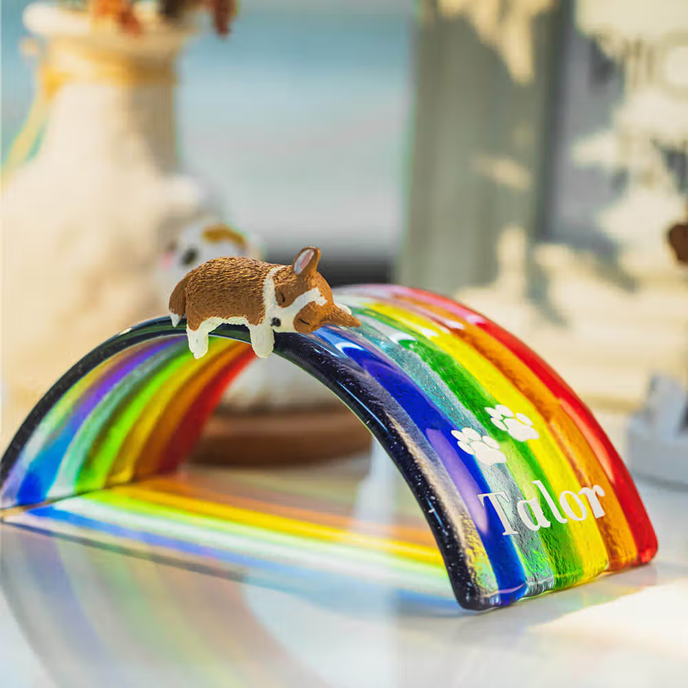 Un dolce ricordo oltre la perdita: il ponte dell’arcobaleno commemorativo